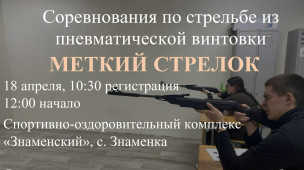 Меткий стрелок 1